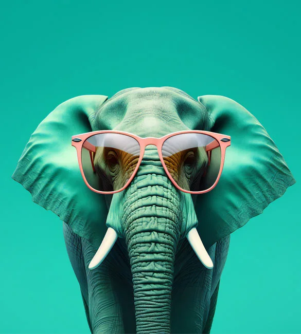 successo content marketing